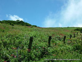 伊吹山