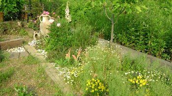 駐車場の花壇