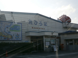 魚ひろば