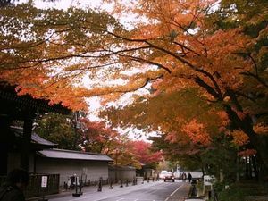 南禅寺2.jpg