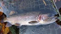 DSC_0359.JPG