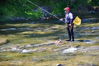 DSC_1983.JPG