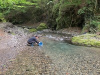 IMG_0515.jpg