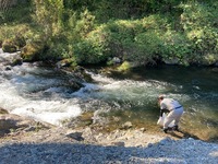 IMG_1085.jpg