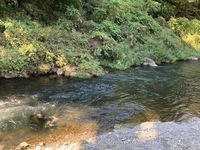 IMG_1089.jpg