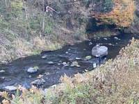 IMG_1447.jpg