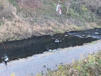 IMG_1448.jpg
