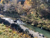 IMG_1452.jpg