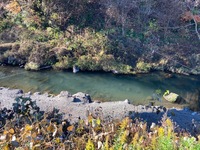 IMG_1453.jpg