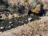 IMG_1455.jpg