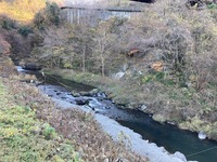 IMG_1477.jpg