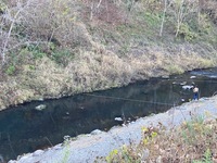 IMG_1478.jpg