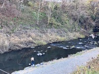 IMG_1479.jpg