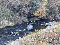 IMG_1480.jpg