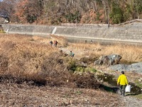 IMG_1492.jpg