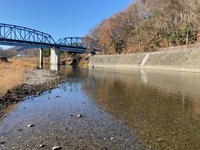 IMG_1494.jpg