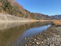 IMG_1495.jpg