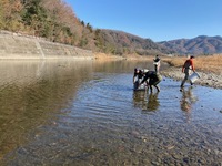 IMG_1502.jpg