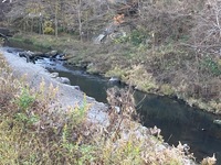 IMG_1511.jpg