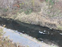 IMG_1512.jpg