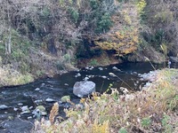 IMG_1513.jpg