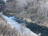 IMG_1614.jpg