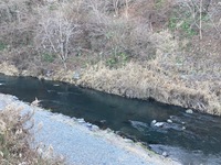 IMG_1615.jpg