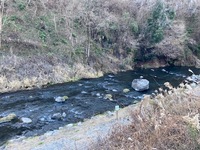 IMG_1616.jpg