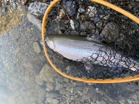 IMG_1829.jpg