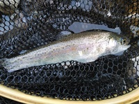 IMG_20210227_145911.jpg