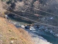 IMG_2447.jpg