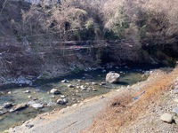 IMG_2450.jpg