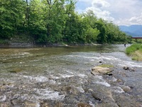 IMG_3040.jpg