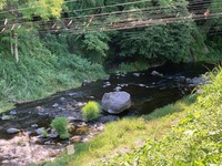 IMG_3094.jpg