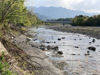 IMG_3683.jpg