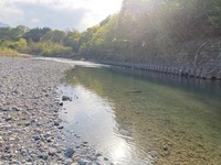 IMG_3685.jpg