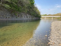 IMG_3686.jpg