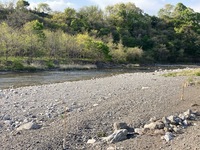 IMG_3687.jpg