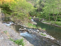 IMG_3710.jpg