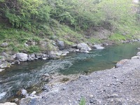 IMG_3711.jpg