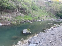 IMG_3712.jpg