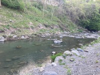 IMG_3713.jpg