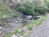 IMG_3714.jpg