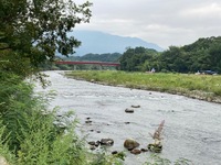 IMG_4600.jpg
