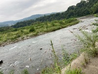 IMG_4601.jpg