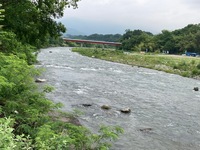 IMG_7096.jpg