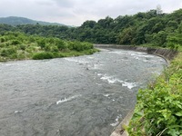 IMG_7097.jpg