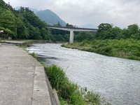 IMG_7098.jpg