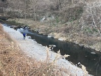 IMG_8629.jpg