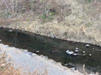 IMG_8630.jpg